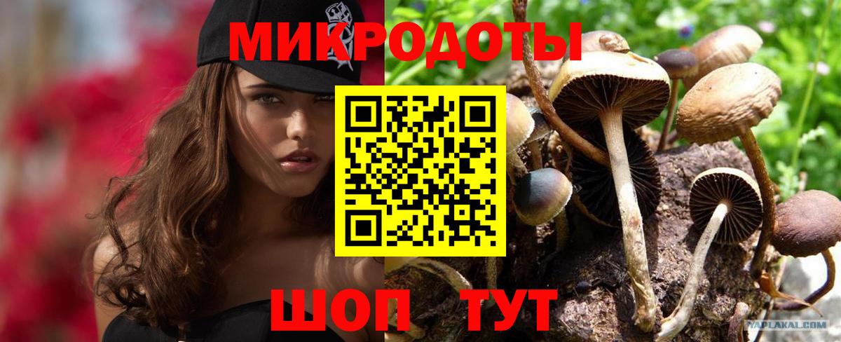 Белая Калитва  Псилоцибиновые грибы прущие грибы  Вход с VPN  где купить наркоту  Псилоцибиновые грибы мицелий 